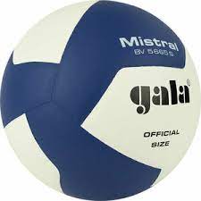 Мяч волейбольный GALA Mistral 12, р.5 